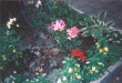 00467.jpg
