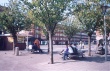 00481.jpg