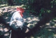 00485.jpg