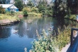 00486.jpg