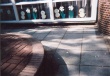 00492.jpg