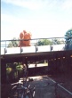 00498.jpg