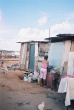 01079.jpg